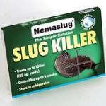 Nemotodes kill slugs