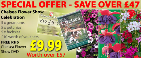 Chelsea bundle - dvd and plants 