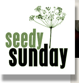 seedy sunday