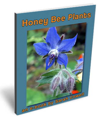 HONEY BEE PLANTS