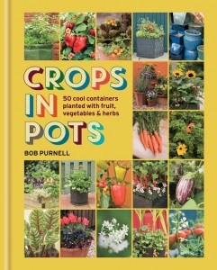 Crops in pots 