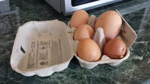 Eggs! A range of sizes